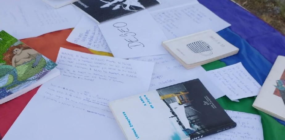 Viedma: se realizar un taller de poesa feminista y disidente